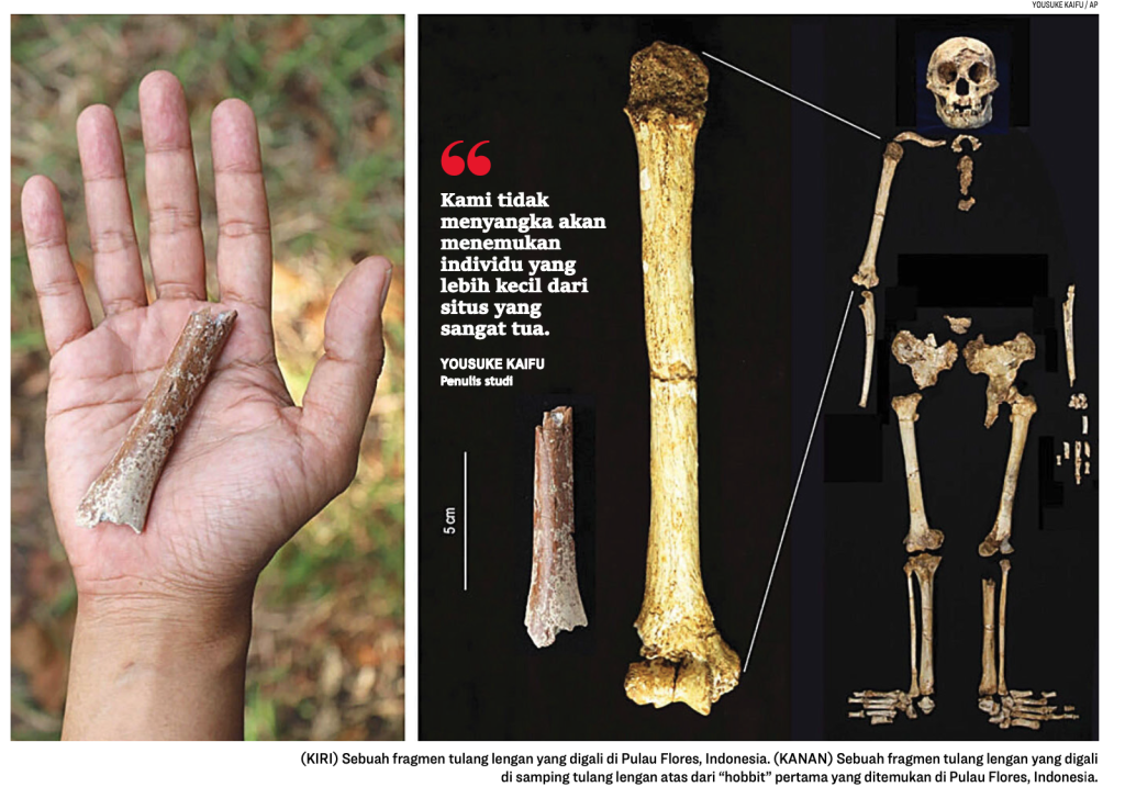 Penemuan hobbit di Flores